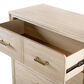Furniture of America Sandnes 5-Drawer Chest in Light Oak, , large