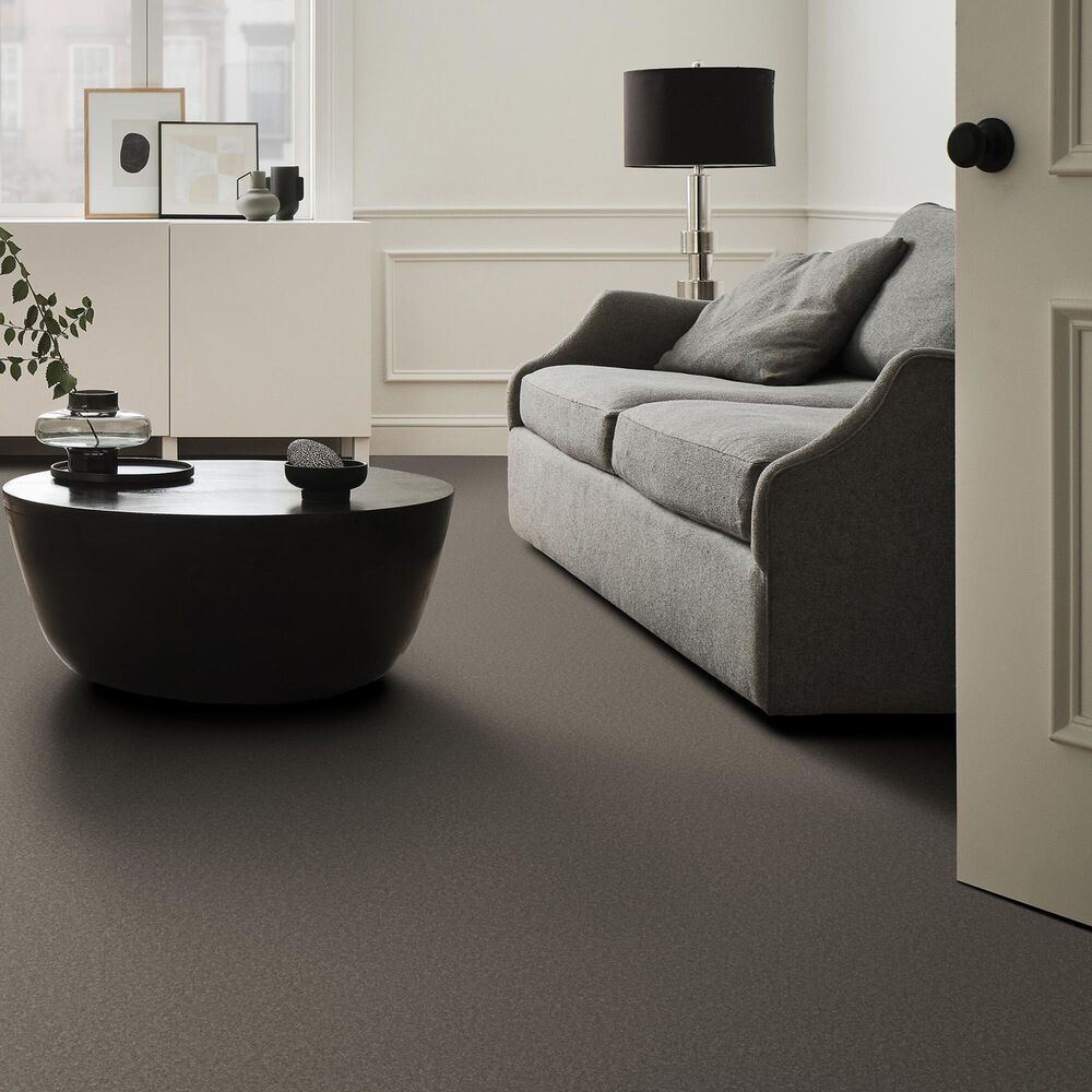 Anderson Tuftex Enduring Charm Carpet in Lunar Rock, , large