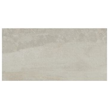Emser Cavanite White 12" x 24" Matte Ceramic Tile, , large