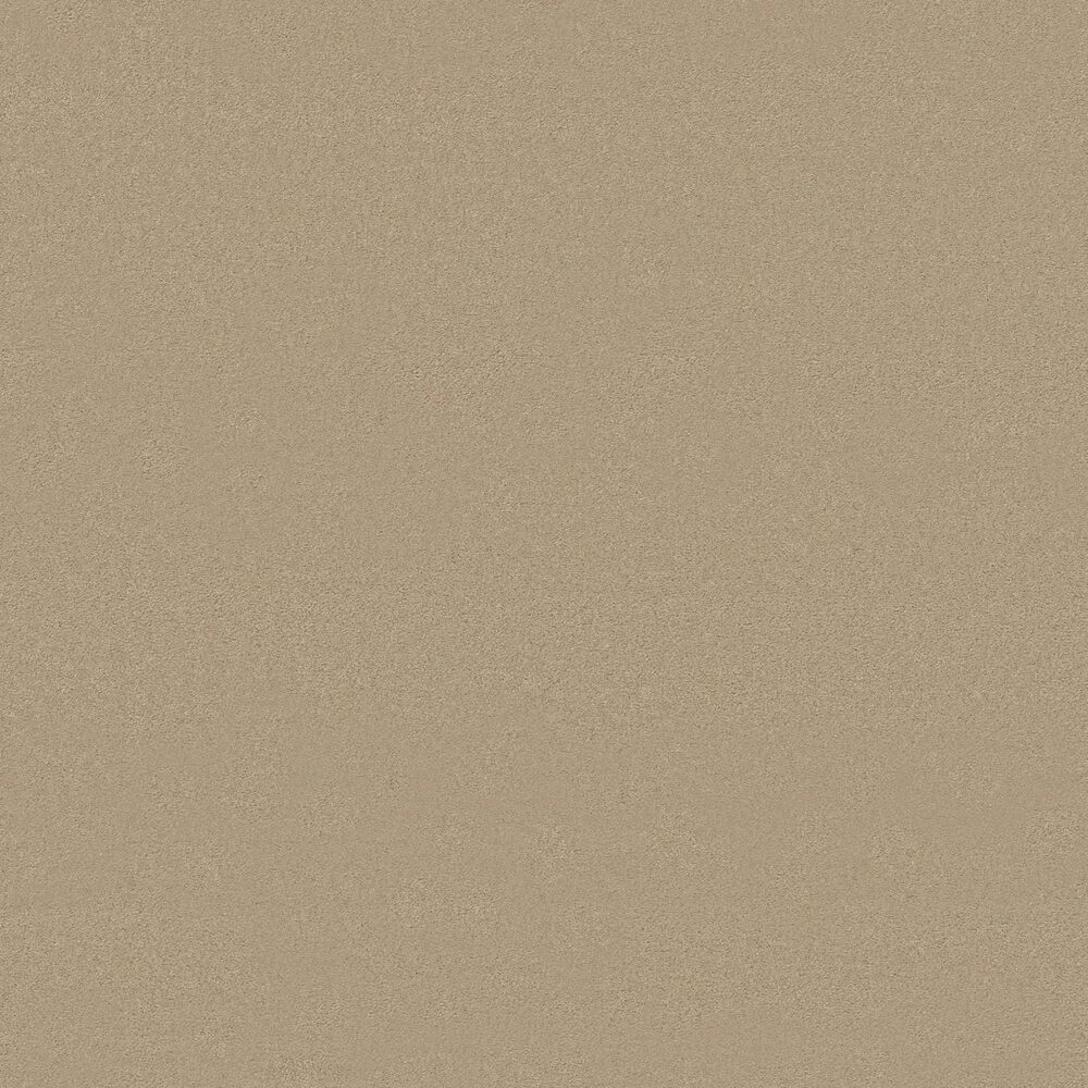 Anderson Tuftex Finery Carpet in Toasted Almond, , large