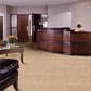 Shaw Franchise Carpet in Honey Wheat, , large