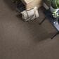 Anderson Tuftex Wanderer Carpet in Mustang, , large