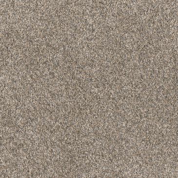 Dream Weaver Affinity IV Carpet in Spice, , large