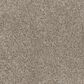 Dream Weaver Affinity IV Carpet in Spice, , large