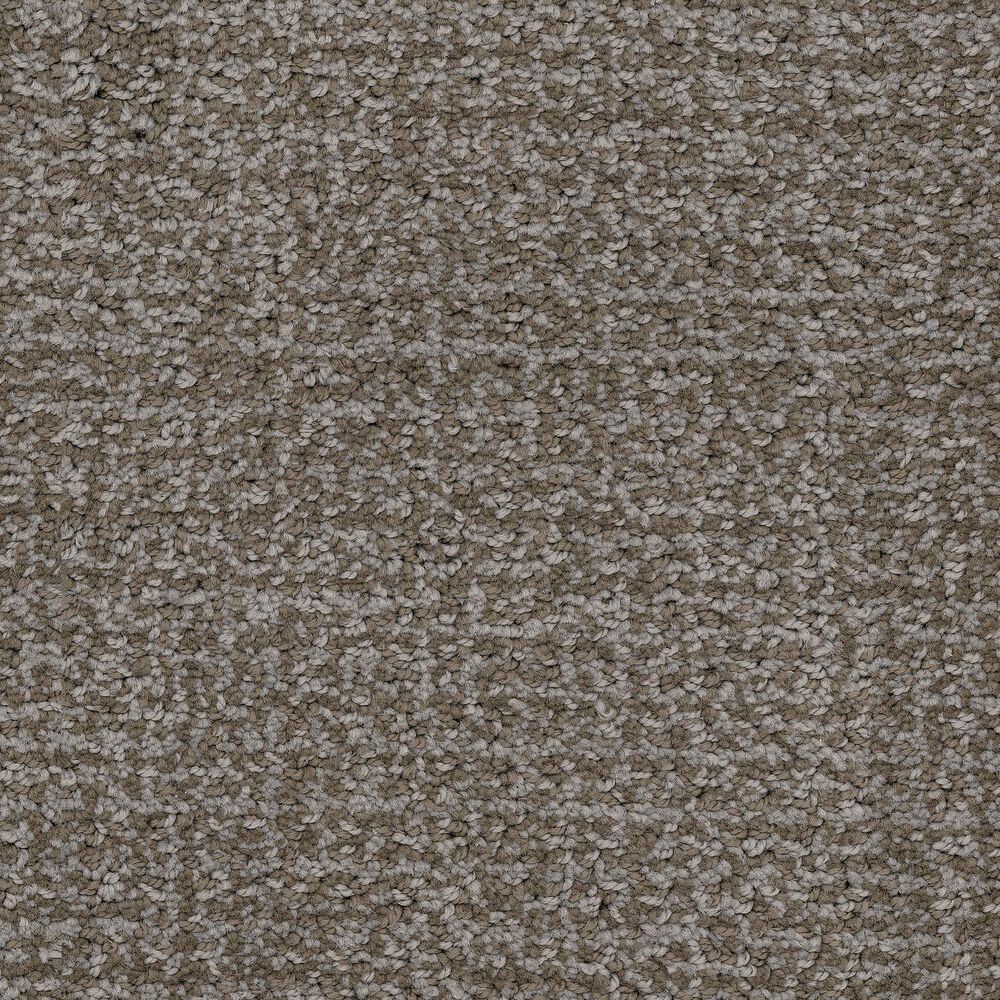 Masland Offspring Carpet in Brad Pitbull, , large