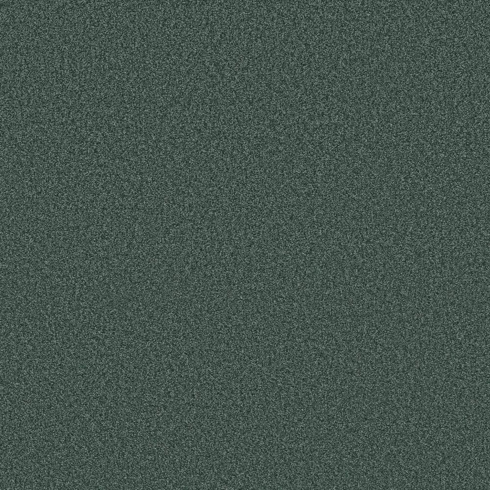 Shaw Tonal Comfort I Carpet in Bold Moves, , large