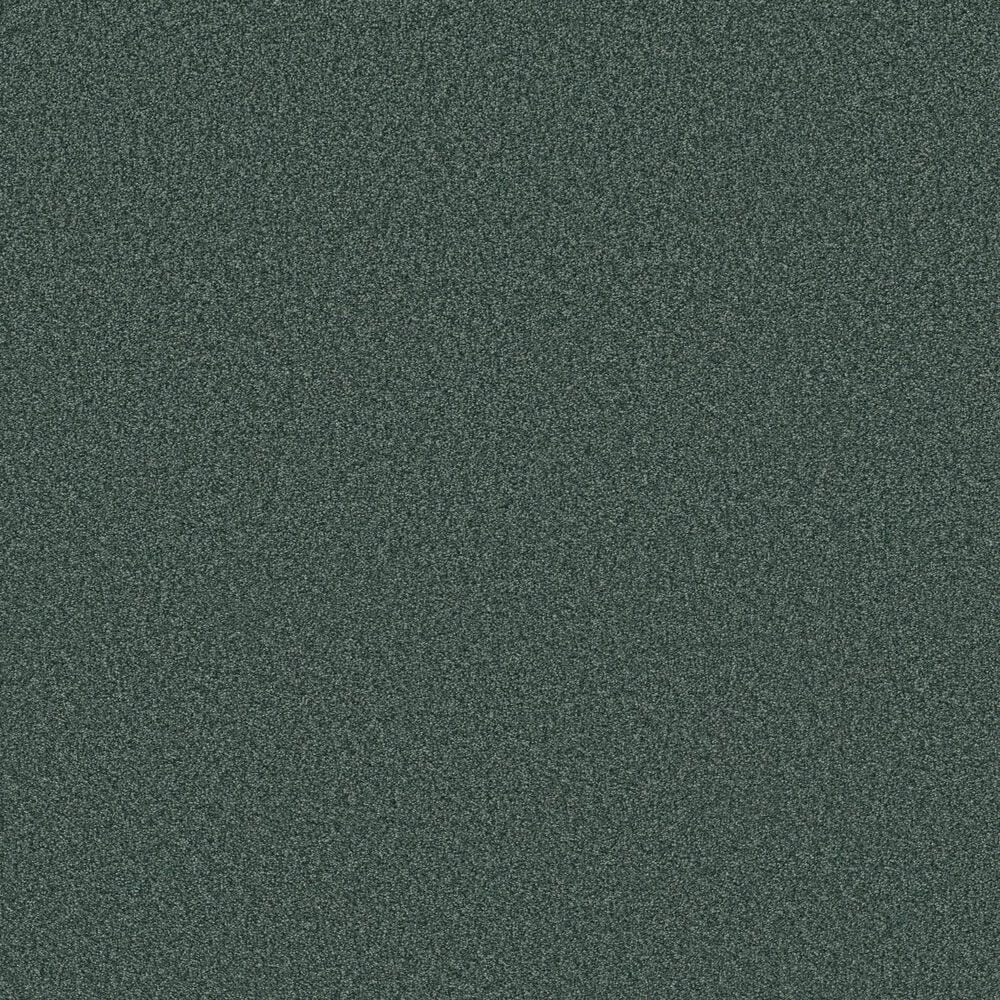 Shaw Tonal Comfort Ii Carpet in Bold Moves, , large