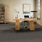 Anderson Tuftex Bali Carpet in Lava Rock, , large