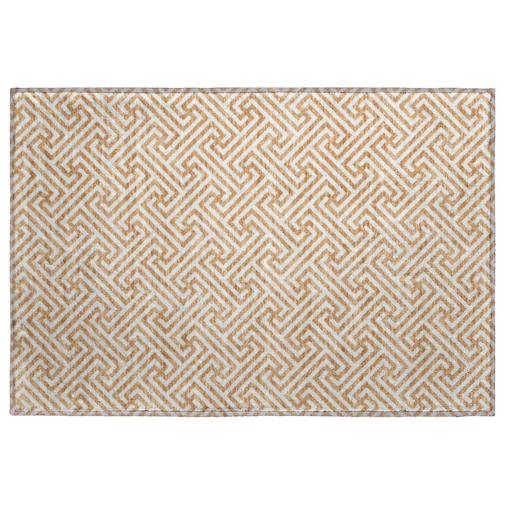 Dalyn Rug Company The Reserve TR5 Copper 2"6" x 3"10" Indoor/Outdoor Area Rug, , large