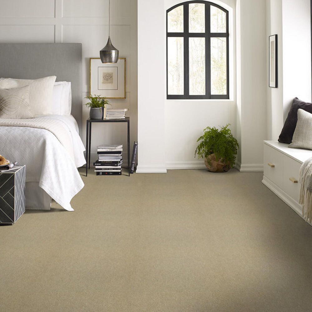 Shaw Counterpart 24&quot; x 24&quot; Carpet Tile in Copy Cat, , large