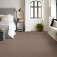Anderson Tuftex Resort Chic Carpet in Raw Wood, , large