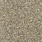 Dixie Home Carefree Carpet in Rivulet, , large