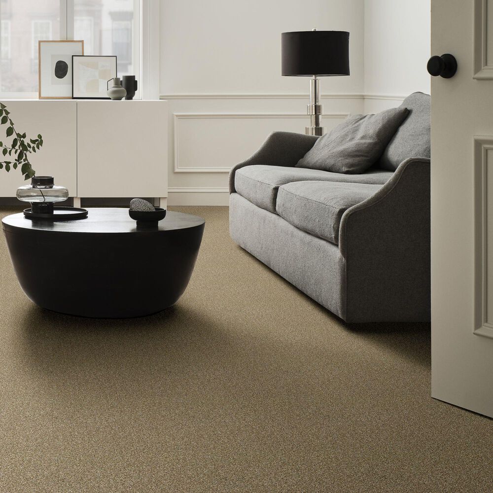 Shaw Simply the Best Cabana Life Tonal Carpet in Dried Clay, , large