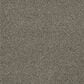 Dream Weaver PS260 Carpet in Cinnamon Tea, , large