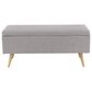 Maple and Jade Modern Storage Bench in Grey, , large