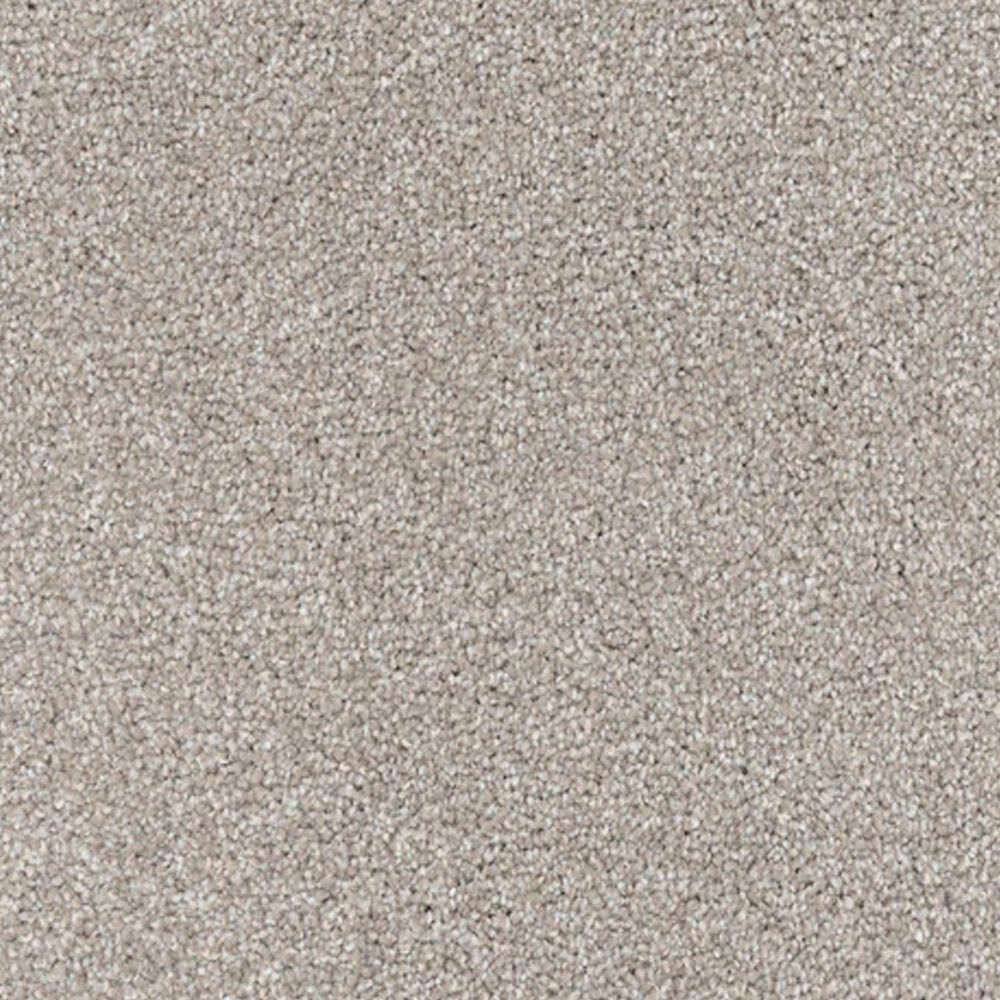 Dixie Home Maverick Carpet in Yorkie, , large