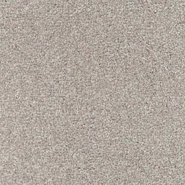 Dixie Home Maverick Carpet in Yorkie, , large