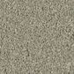 Philadelphia Champagne Taste II Carpet in Organic Grown, , large