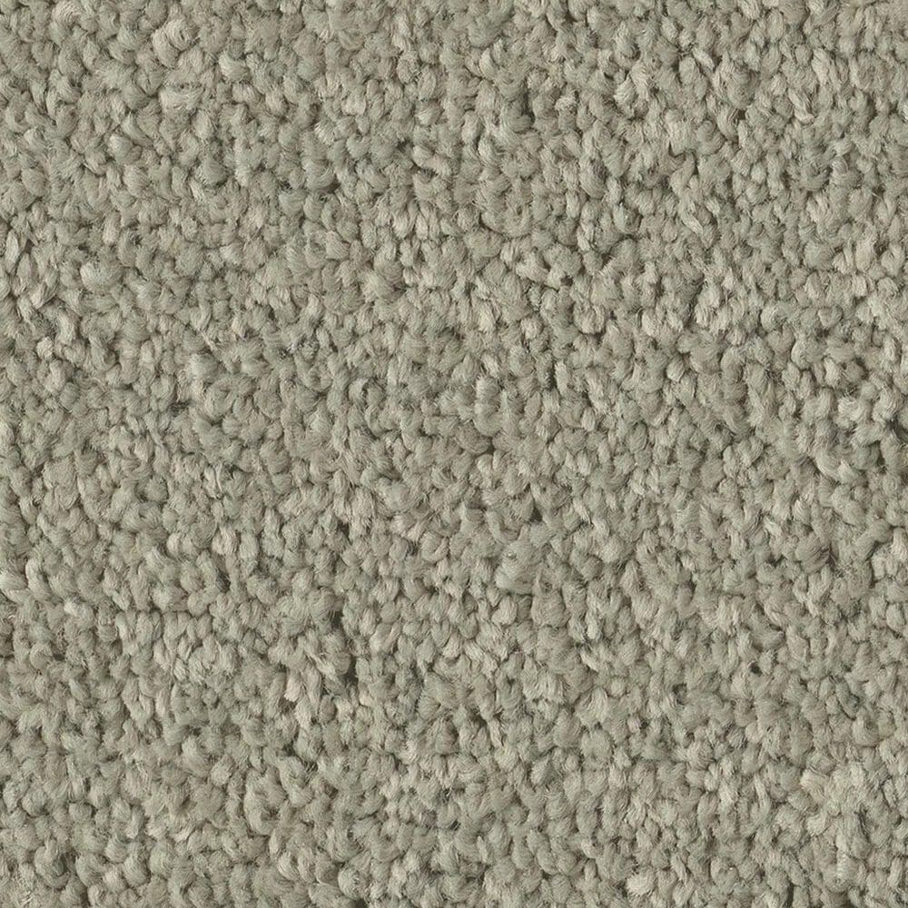 Philadelphia Champagne Taste II Carpet in Organic Grown, , large