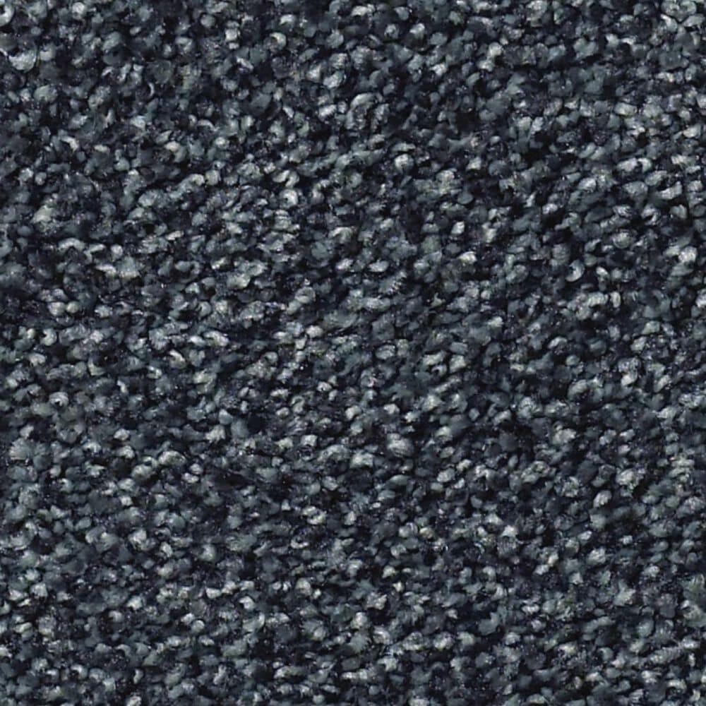 Shaw Find Your Comfort TT II Carpet in Hanging Vine, , large