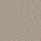 Phenix Oasis Platinum Carpet in Desert, , large