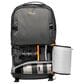 Lowepro Fastpack 250 AW III Camera Case in Gray, , large