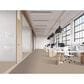 Masland Fascinating Carpet in Reserved, , large