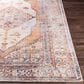 Surya Amelie AML-2312 7"10" x 10"2" Camel, Wheat, Ivory, Saffron, Orange and Blue Area Rug, , large
