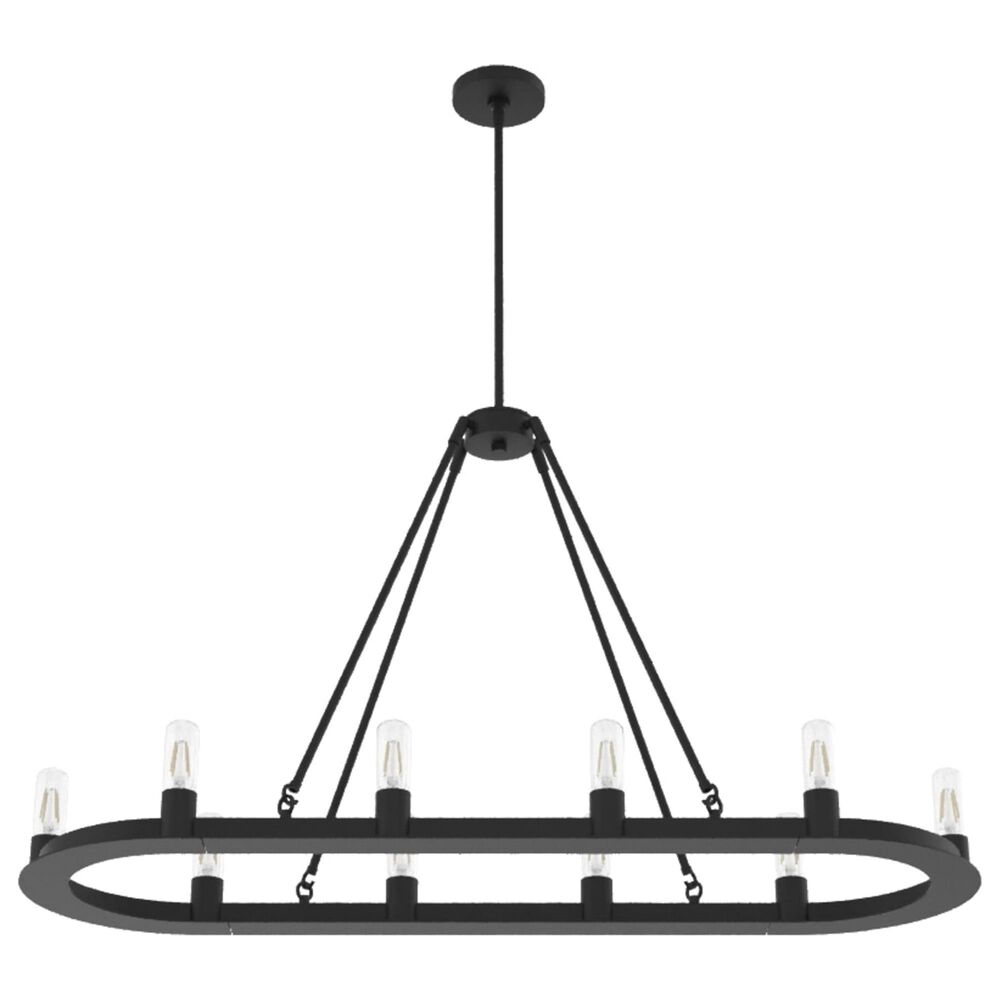 Hunter Saddlewood 10-Light Chandelier in Natural Iron, , large