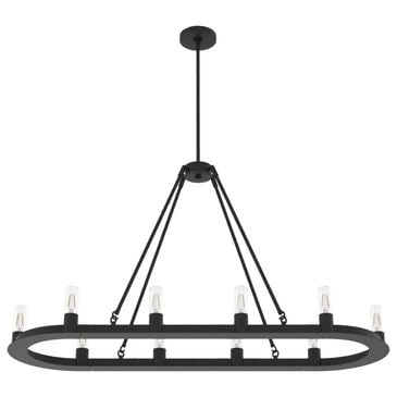 Hunter Saddlewood 10-Light Chandelier in Natural Iron, , large