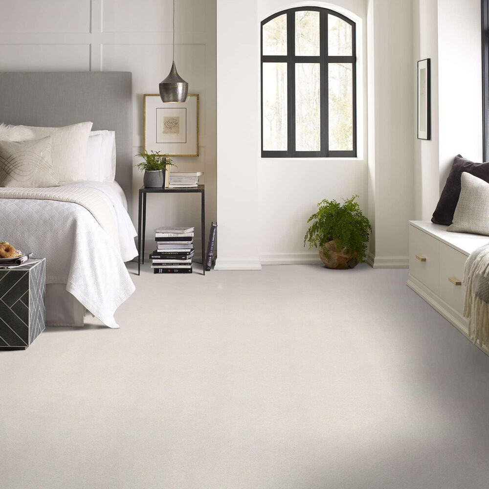 Shaw Your Comfort I Carpet in Whitewashed Frame, , large