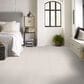 Shaw Your Comfort I Carpet in Whitewashed Frame, , large
