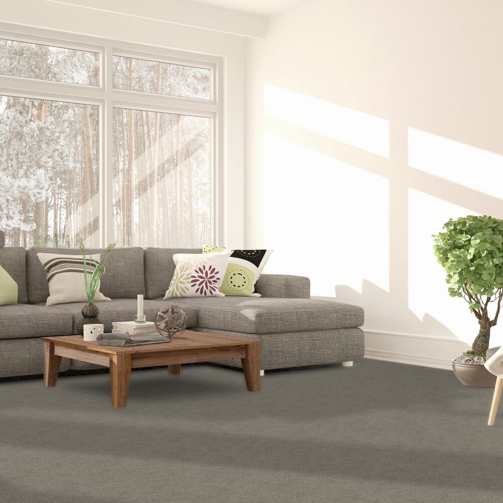 Dream Weaver Classic Elements Carpet in Natural Sea, , large