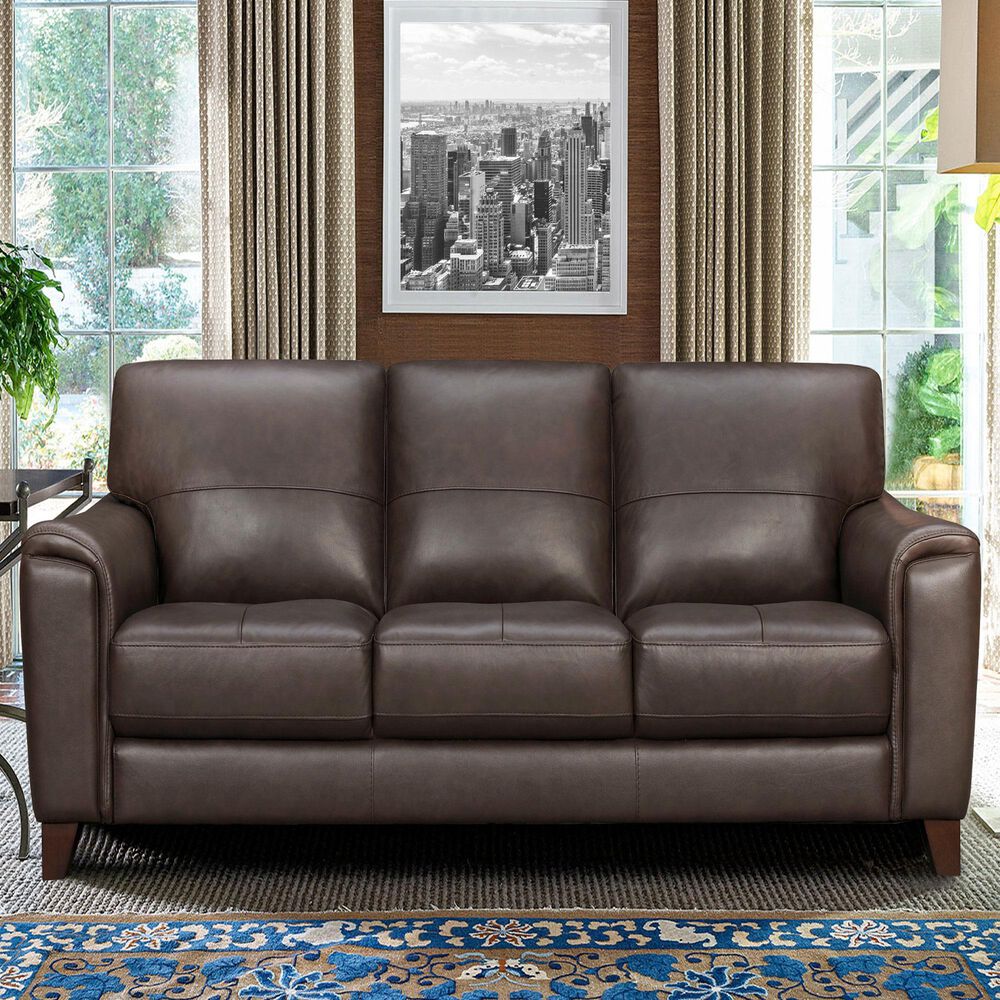 Blue River Bergen Sofa in Espresso and Brown | Nebraska Furniture Mart