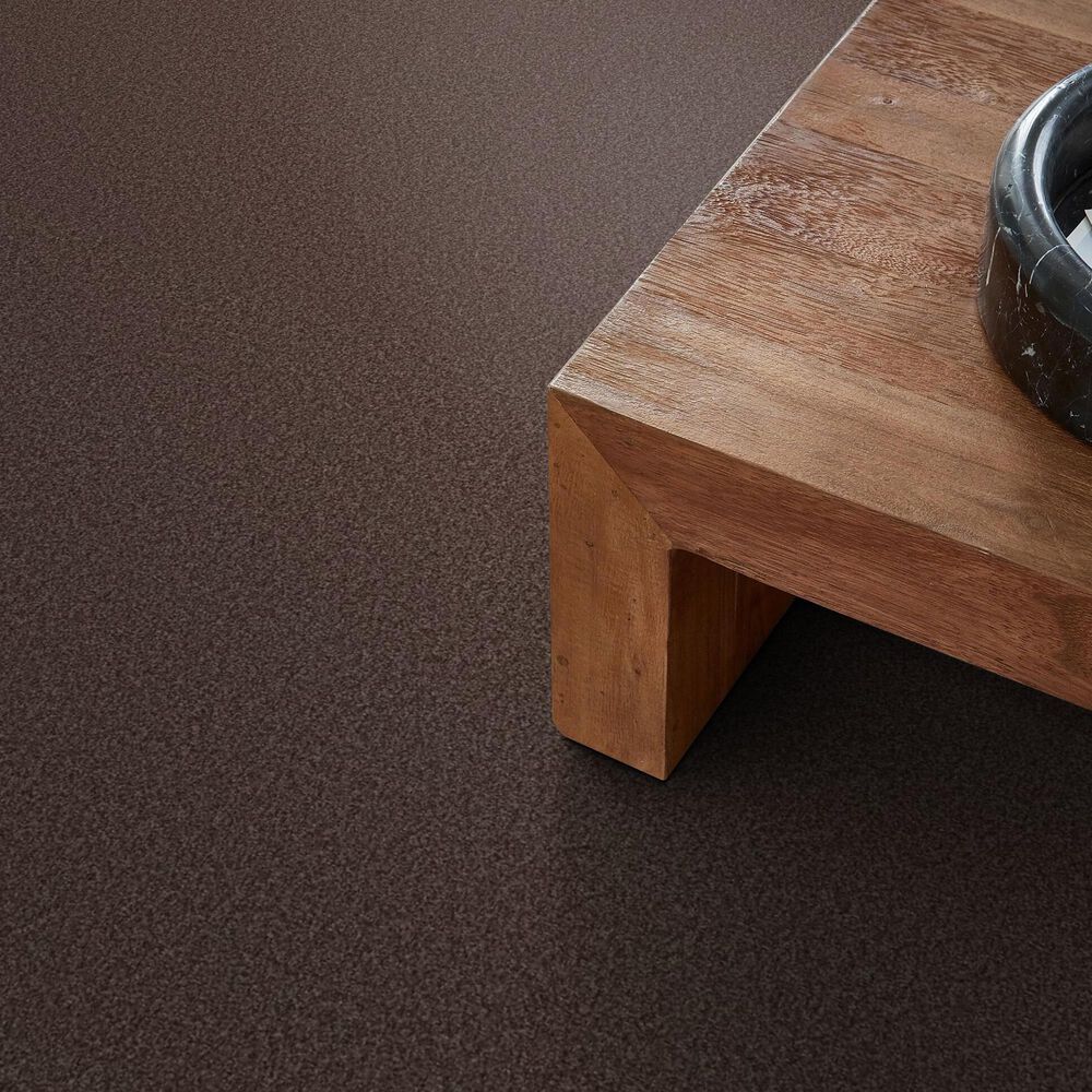 Shaw Tonal Comfort I Carpet in Winery, , large