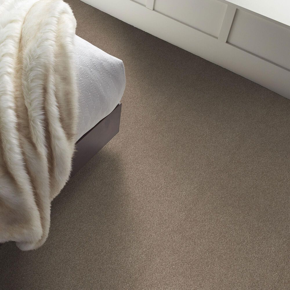 Shaw Comforting I Carpet in Boardwalk, , large