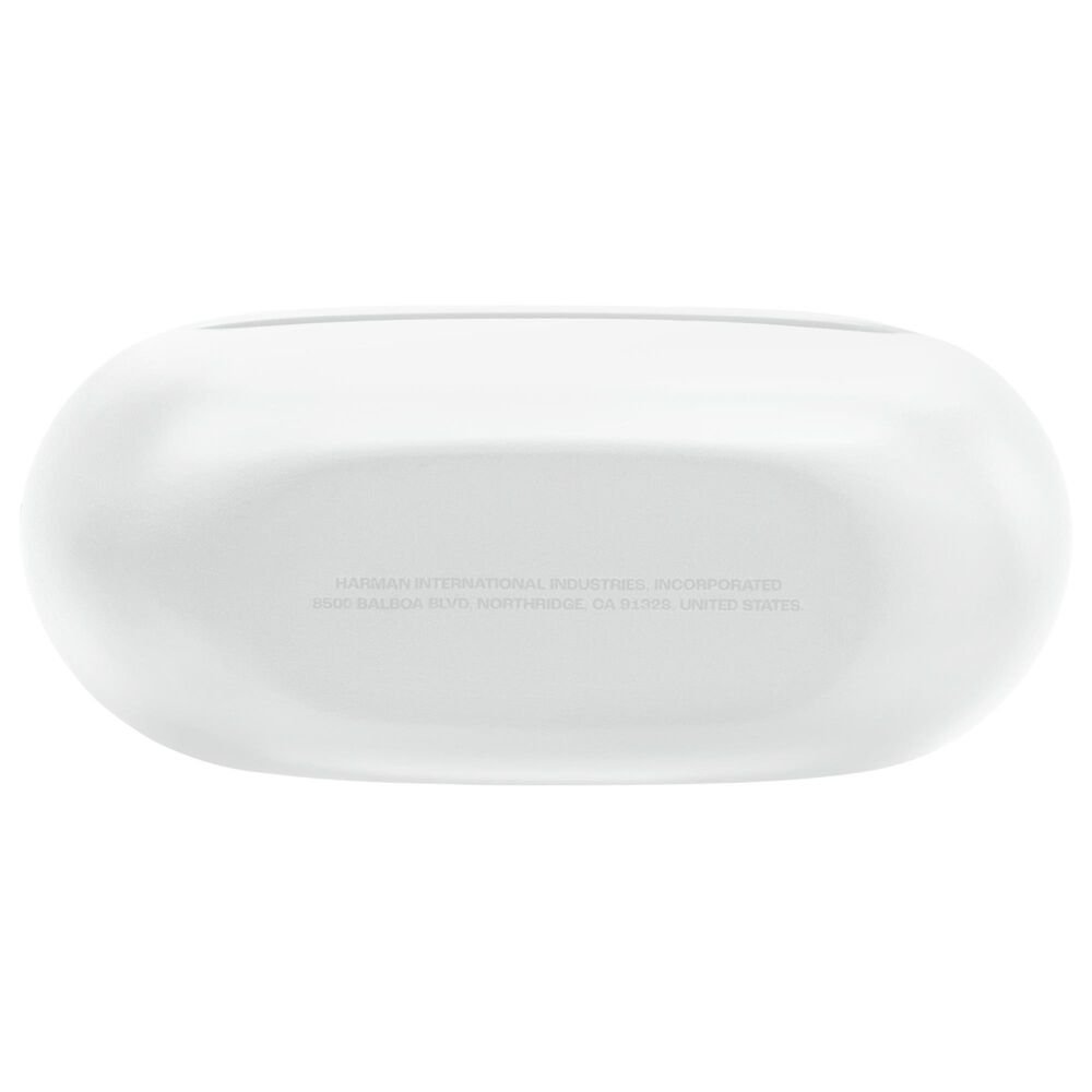 JBL Endurance Race 2 True Wireless Earbuds in White, , large