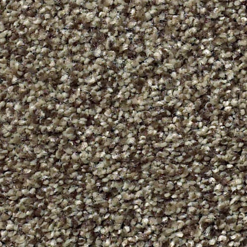 Shaw Tonal Comfort Ii Carpet in Summer House, , large