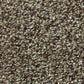 Shaw Tonal Comfort Ii Carpet in Summer House, , large