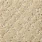Anderson Tuftex Recital Carpet in Bungalow, , large