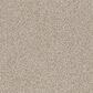 Anderson Tuftex Bali Carpet in Stucco Tan, , large
