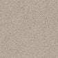 Anderson Tuftex Bali Carpet in Stucco Tan, , large