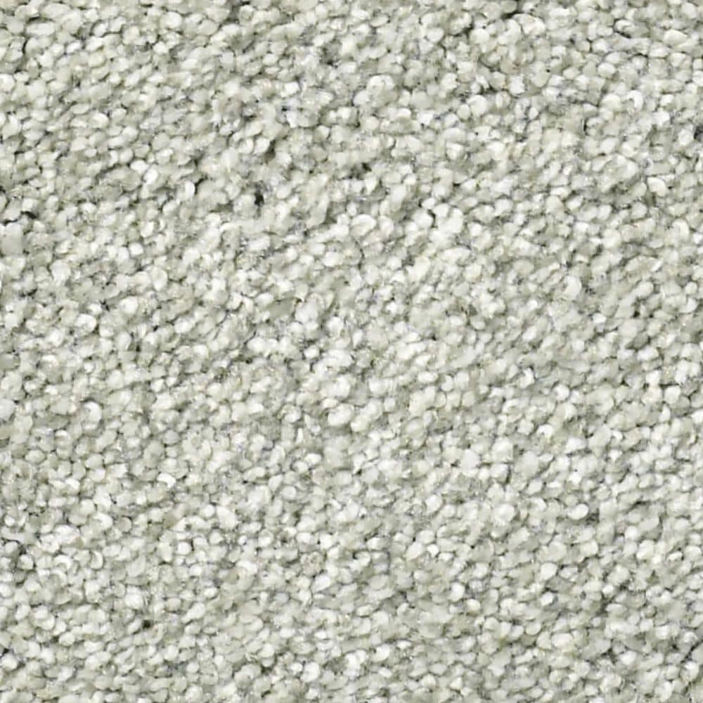 Shaw Tonal Comfort I Carpet in Willow Tree, , large