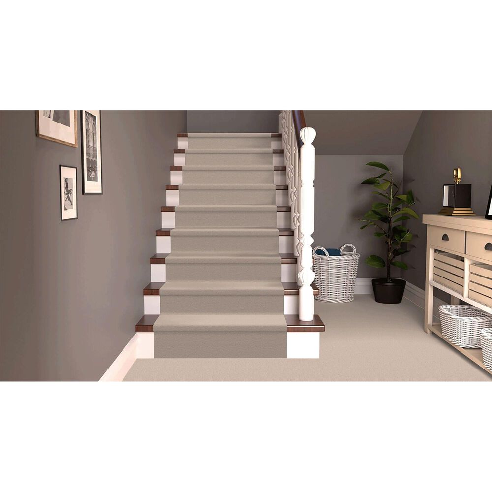 Dixie Home Neverland Carpet in Highlands, , large