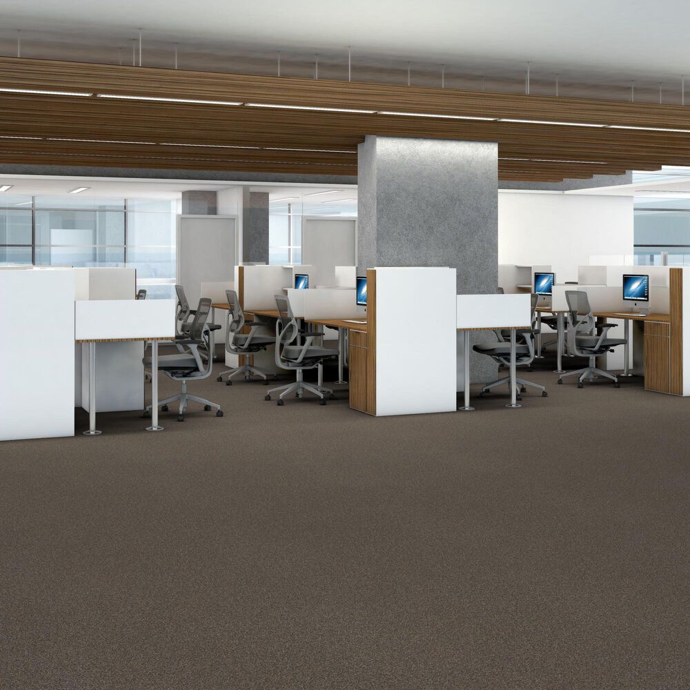 Shaw Trusplendor Carpet in City Scape, , large