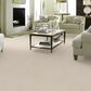 Anderson Tuftex Renoir Carpet in Salt Box, , large