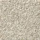 Shaw Find Your Comfort TT II Carpet in Sand Castle, , large