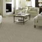 Anderson Tuftex Renoir Carpet in Cumulus, , large