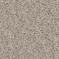 Anderson Tuftex Enduring Charm Carpet in String, , large