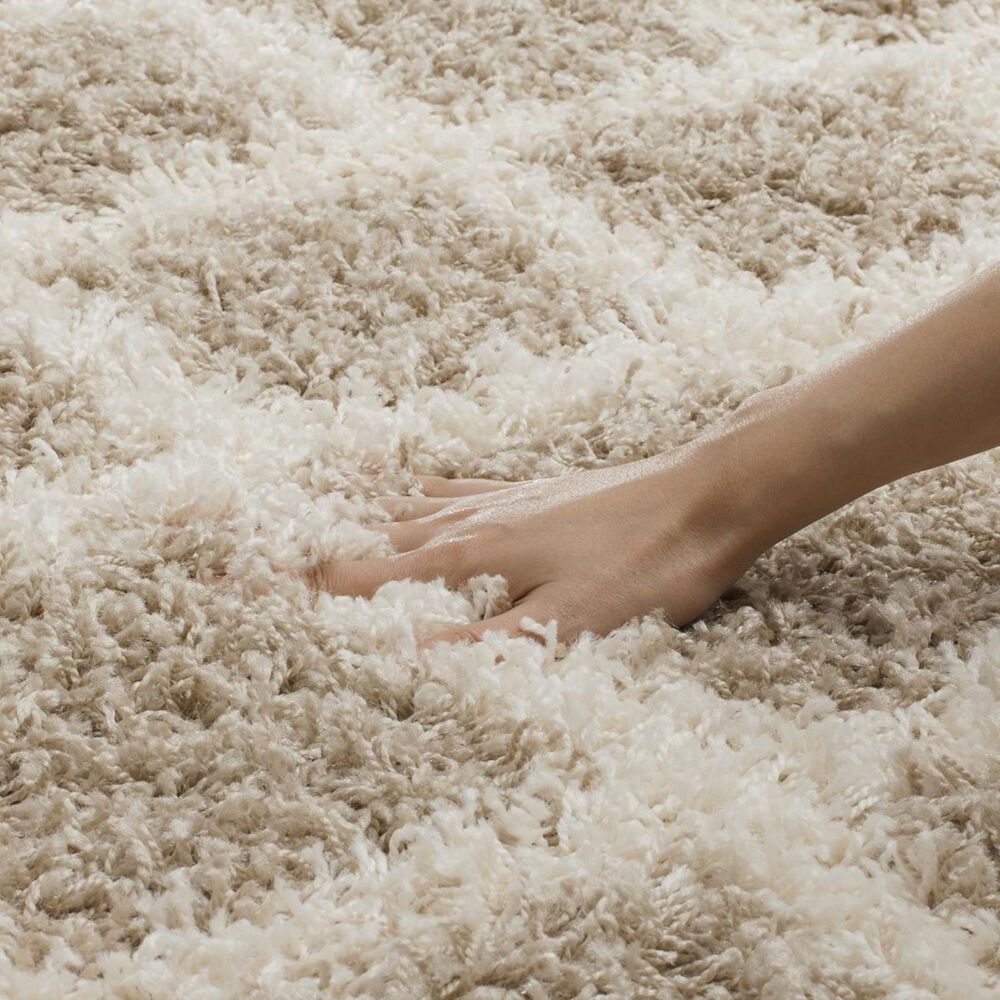 Safavieh Dallas Shag SGD258D-10 10&#39; x 14&#39; Beige/Ivory Area Rug, , large